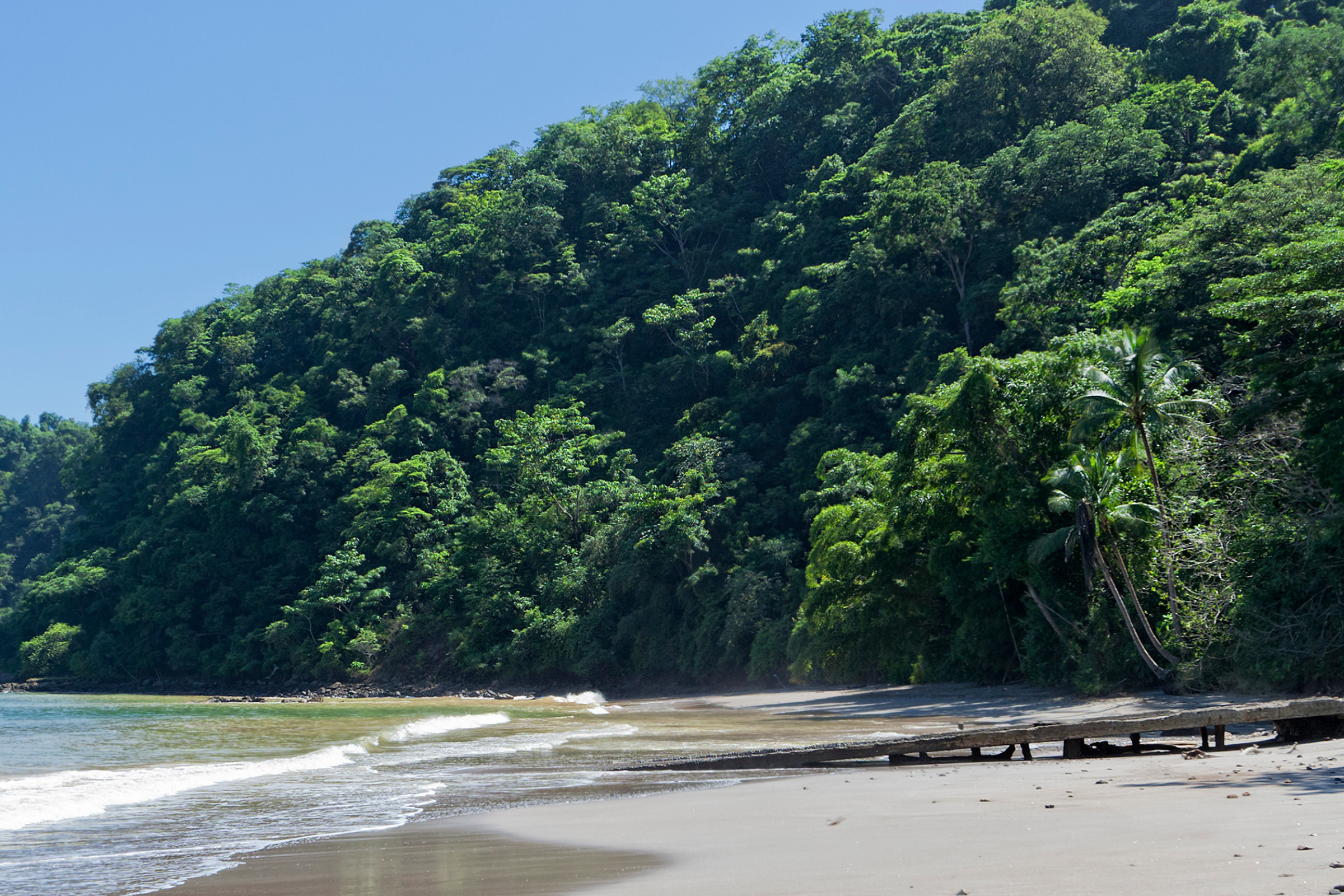 punta leona (3).webp